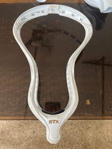 STX stallion Head