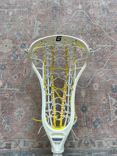 Used  Gait Stick