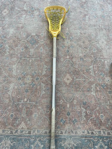 Used  Gait Stick