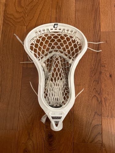 Michael Leo Game Used Mustang