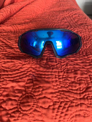 Brand New Blue Polarized Sunglasses
