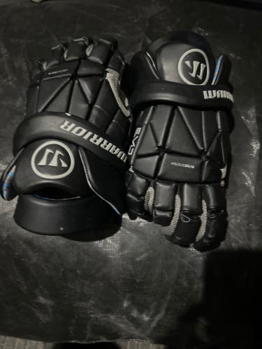 warrior evo gloves and nike lakota
