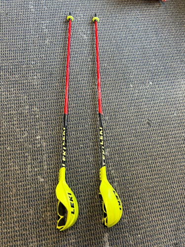 Used  (115cm) Racing Ski Poles