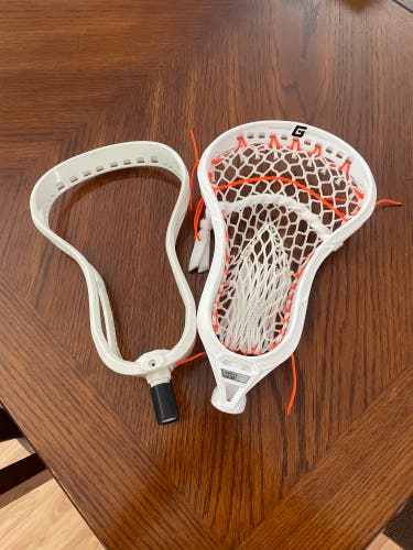 New Strung Gait Fogo And Mustang