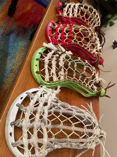 Stx professor (3) and Powell traditional heads