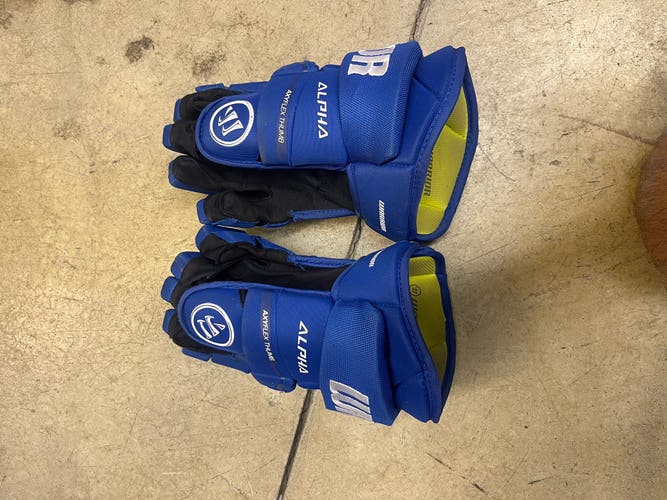 Used  Warrior 15" Pro Stock Gloves
