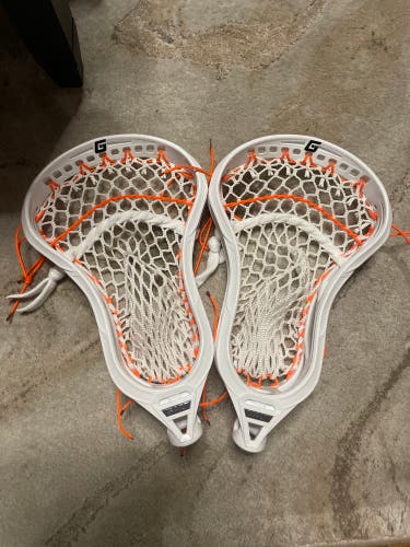 2 Brand New Gait Mustangs