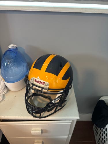 Michigan Football Helmet