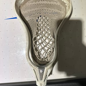 Warrior evo pro warp