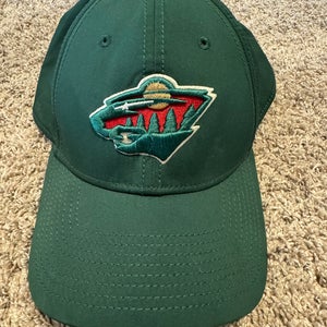 Minnesota Wild Fitted Hat M/L