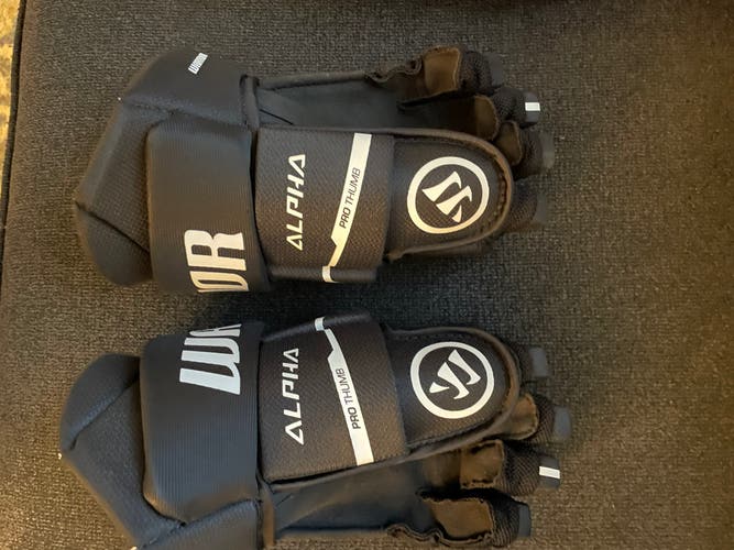 Used  Warrior 12" Alpha LX 40 Gloves