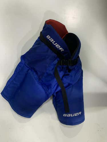 Used Bauer X3.0 Lg Pant Breezer Hockey Pants