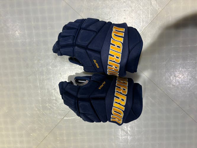 Blues size 13 gloves