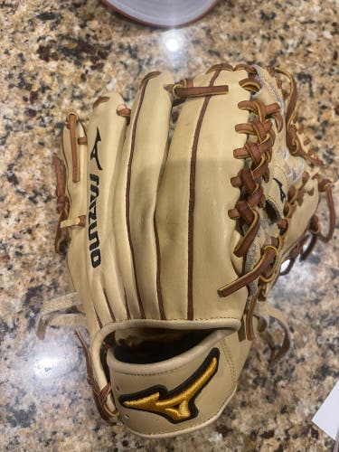 Mizuno glove 12in Glove