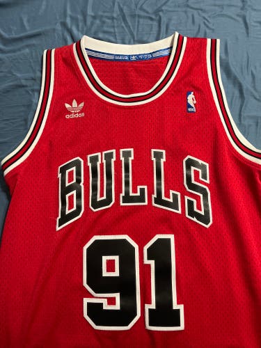 Chicago Bulls Dennis Rodman Jersey