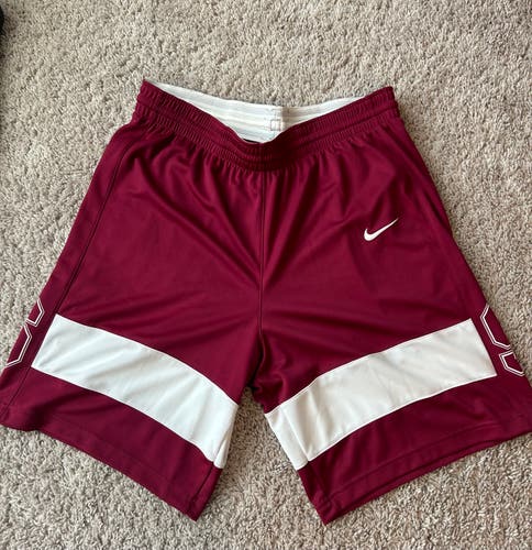 Stanford Branded New Large Nike Shorts