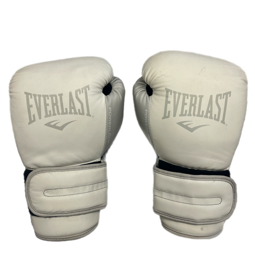 Everlast Used Boxing Gloves