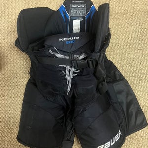 Senior Bauer Nexus 800 Hockey Pants