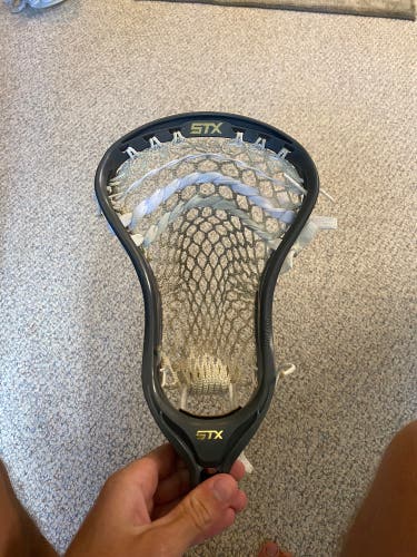 STX Stallion U