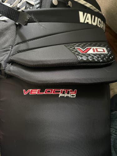 Used Large Vaughn Goalie Pants V10 Carbon