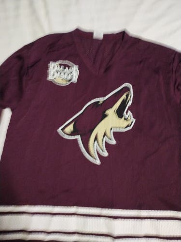 Phoenix Coyotes promo jersey