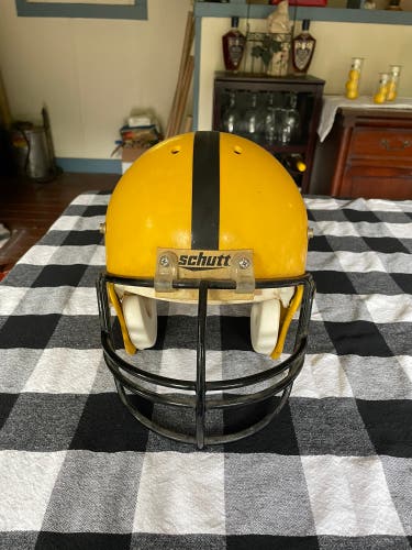 Steelers Preseason Helmet