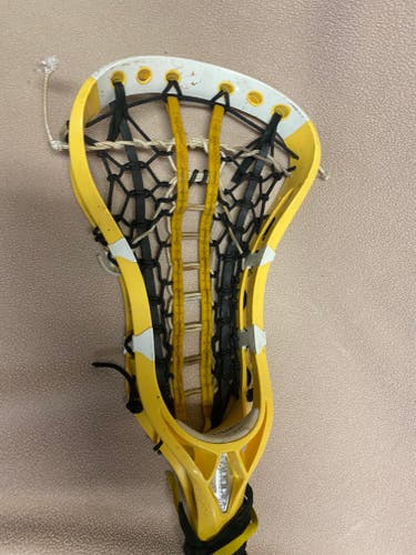 Used Brine 325 Stick with an Amonte head