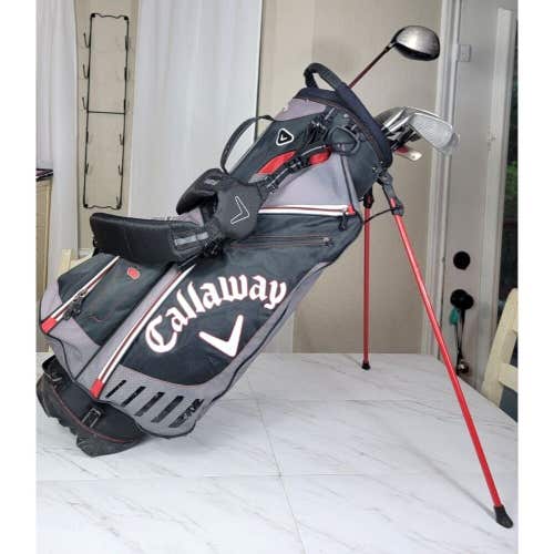 Cobra / Taylormade Men's Golf Set With Callaway Golf Bag