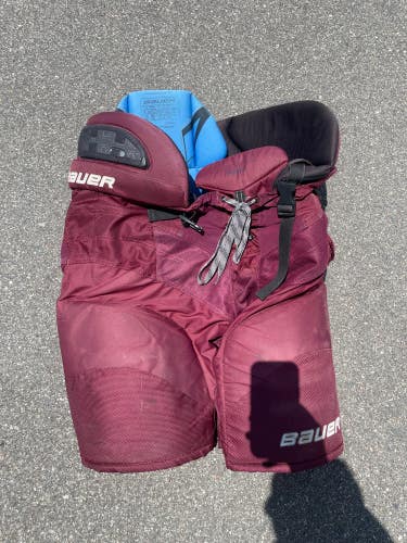 Used Senior XLT Bauer Nexus 1000 Hockey Pants