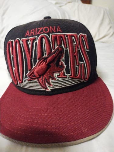 Arizona Coyotes New Era Snap-Back Hat