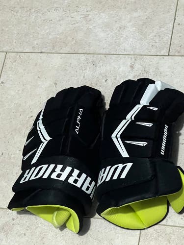 Warrior DX5 gloves -12 Inches