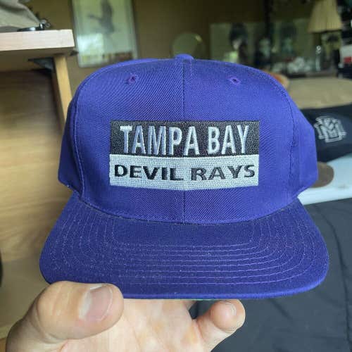 Vintage Tampa Bay Devil Rays Annco American Needle Snapback Hat Cap RARE