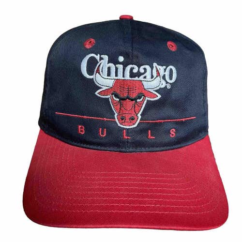 Vintage Chicago Bulls Twins Enterprise Snapback Hat NBA Cap