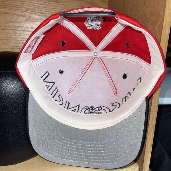 Vintage 90s Wisconsin Badgers Bucky Spellout Snapback Hat Cap NWT