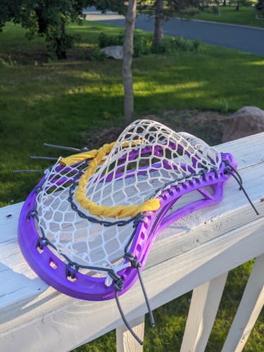 New True Professionally Strung Vektr Head Dyed Purple - U of Albany / Iroquois Colors