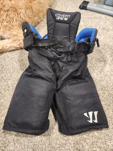 Used Junior Large Warrior Covert QRE20 pro Hockey Pants