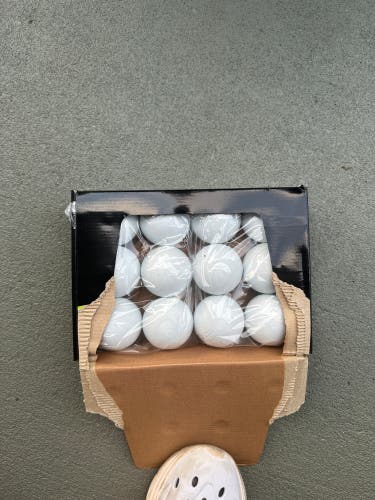 Brand new champion balls 12 pack