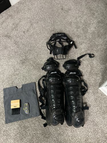 Honigs and Champro Umpire set