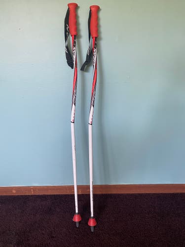 40in (100cm) GS Ski Poles