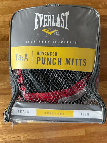 Used Everlast Punch Mitts