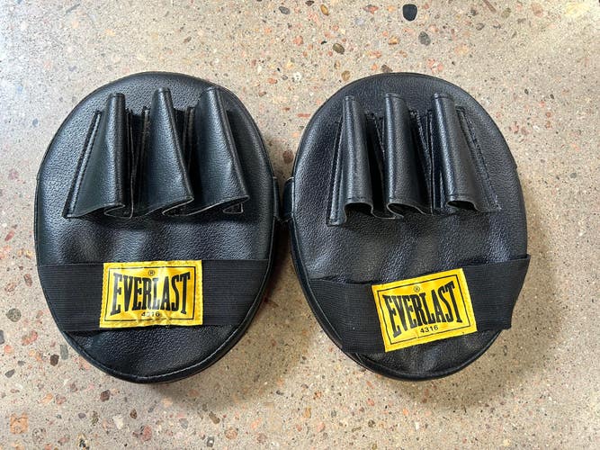 Used Everlast Semi-pro Punch Mitt