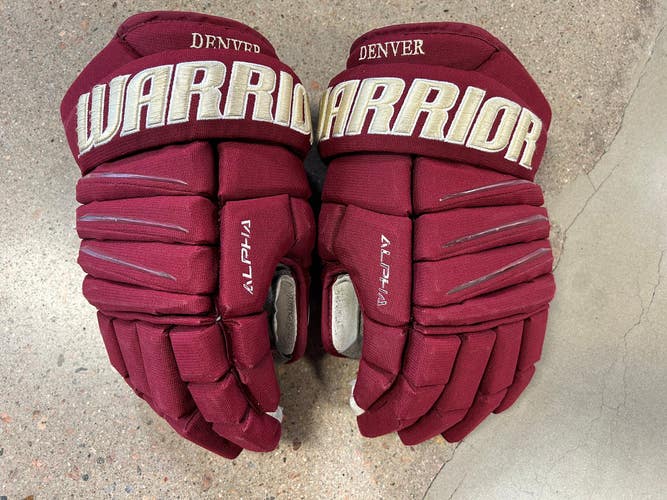 Denver University Used Senior Warrior Alpha Pro Gloves 14" Pro Stock