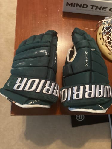 Brand New Great Gloves