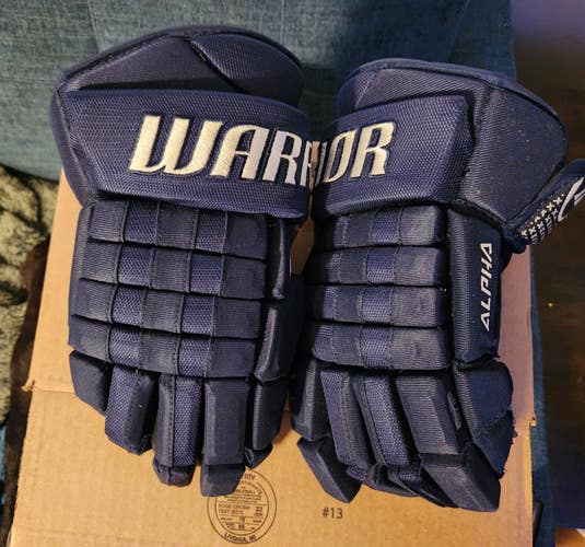Gently Used Warrior Alpha FR2 Gloves 15"