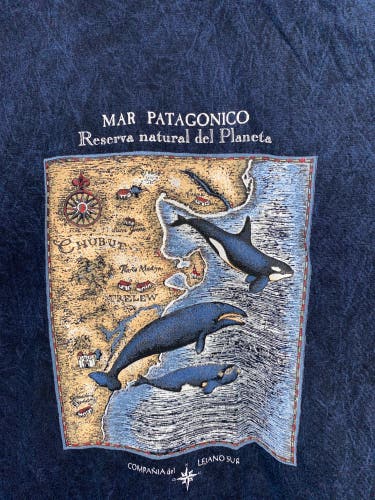 Blue New Argentine Patagonia Exploration Shirt