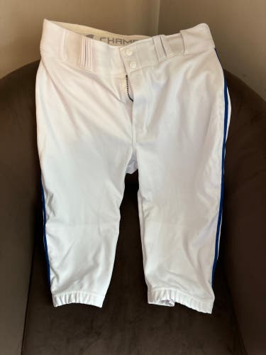 Champro Men’s baseball pants short size M, new without tags