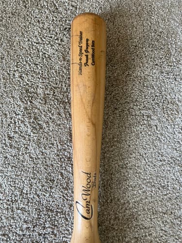 Baseball training Bat