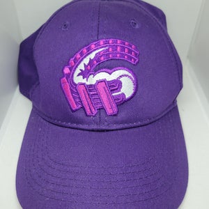 Altoona Curve MiLB Alzheimers Awareness Night Adjustable Baseball Cap