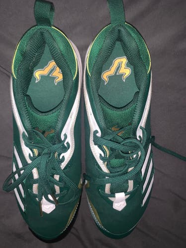 Univ. of South Florida Men's Low Top Metal Icon