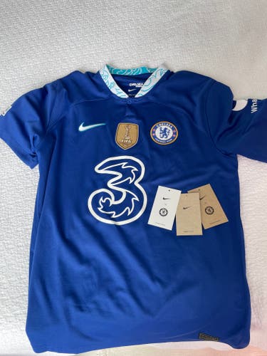 Official Chelsea Jersey Home 2022/2023 Champions League Mason Mount. Size large. Nike